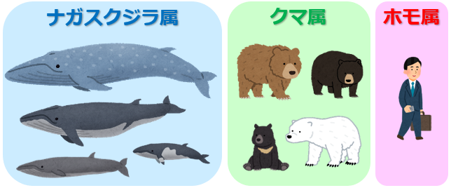 生物の属性のイメージ画像