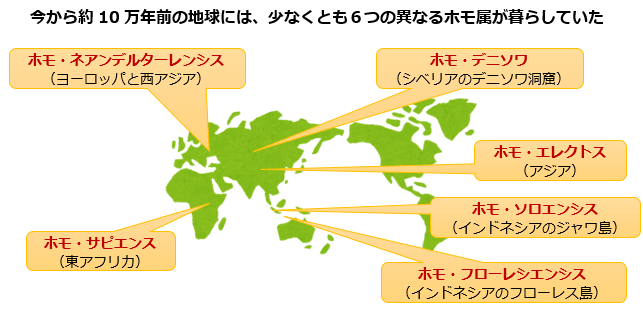 ホモ属分布の説明画像