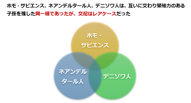 人類の種の説明画像